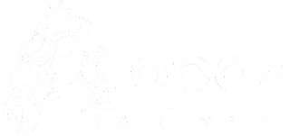 Topaz Hair